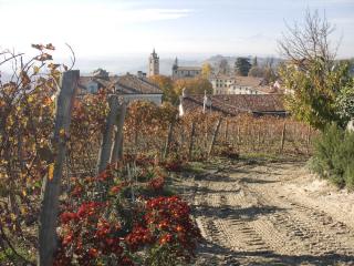 Autumn in Piemonte